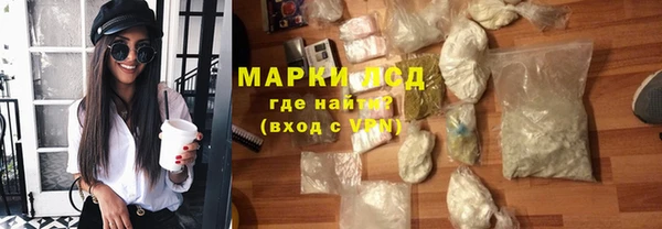 прущие грибы Волоколамск