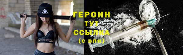 индика Володарск