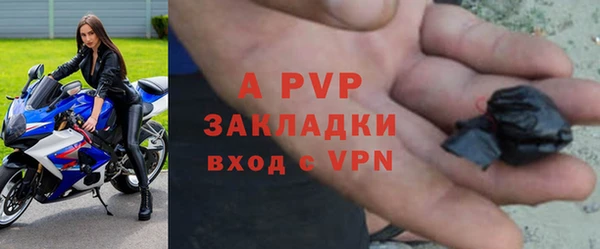 индика Володарск
