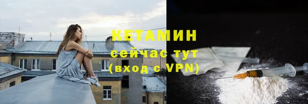 прущие грибы Волоколамск