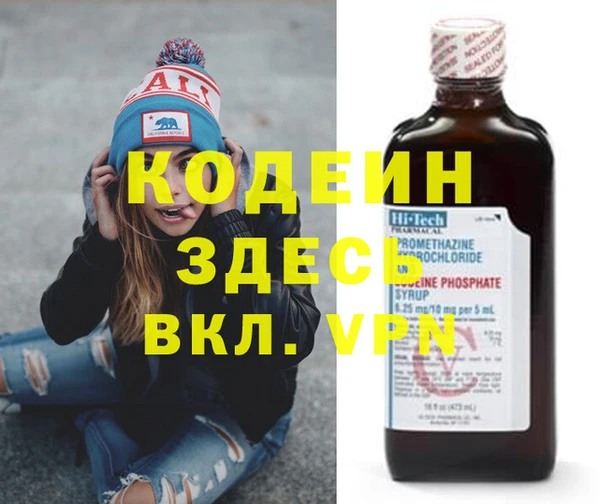 индика Володарск