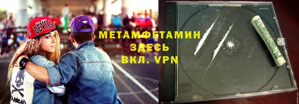 прущие грибы Волоколамск