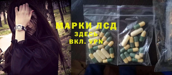 индика Володарск