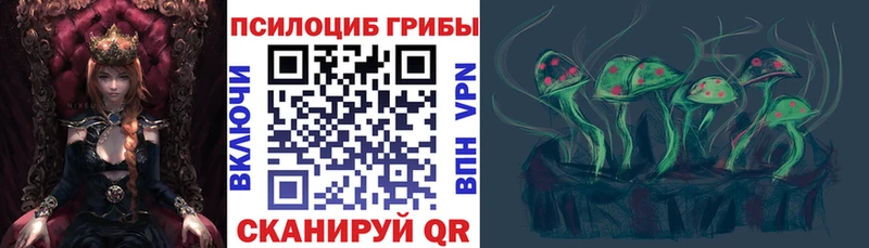 Псилоцибиновые грибы Cubensis  Таганрог 